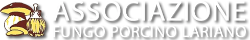 Associazione Fungo Porcino Lariano